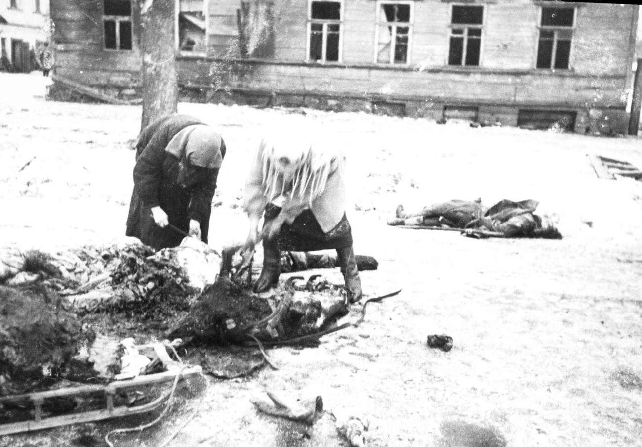#28 Horse Used for Food, Leningrad Blockade, 1943