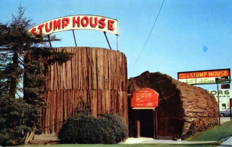 #8 Stump House, Eureka, California.