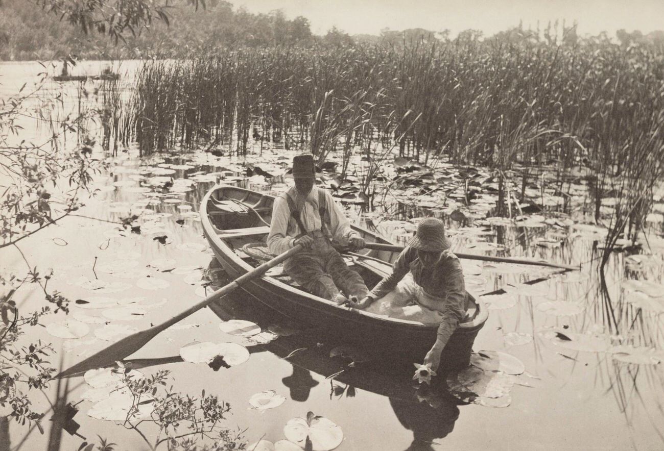 #10 Gathering Water Lilies, 1887.