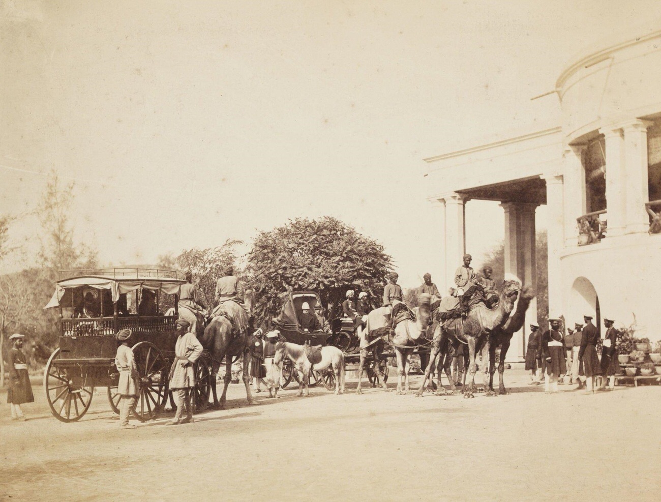 #105 The Lieutenant Governor of the Punjab with camel carriages, India, circa 1865.