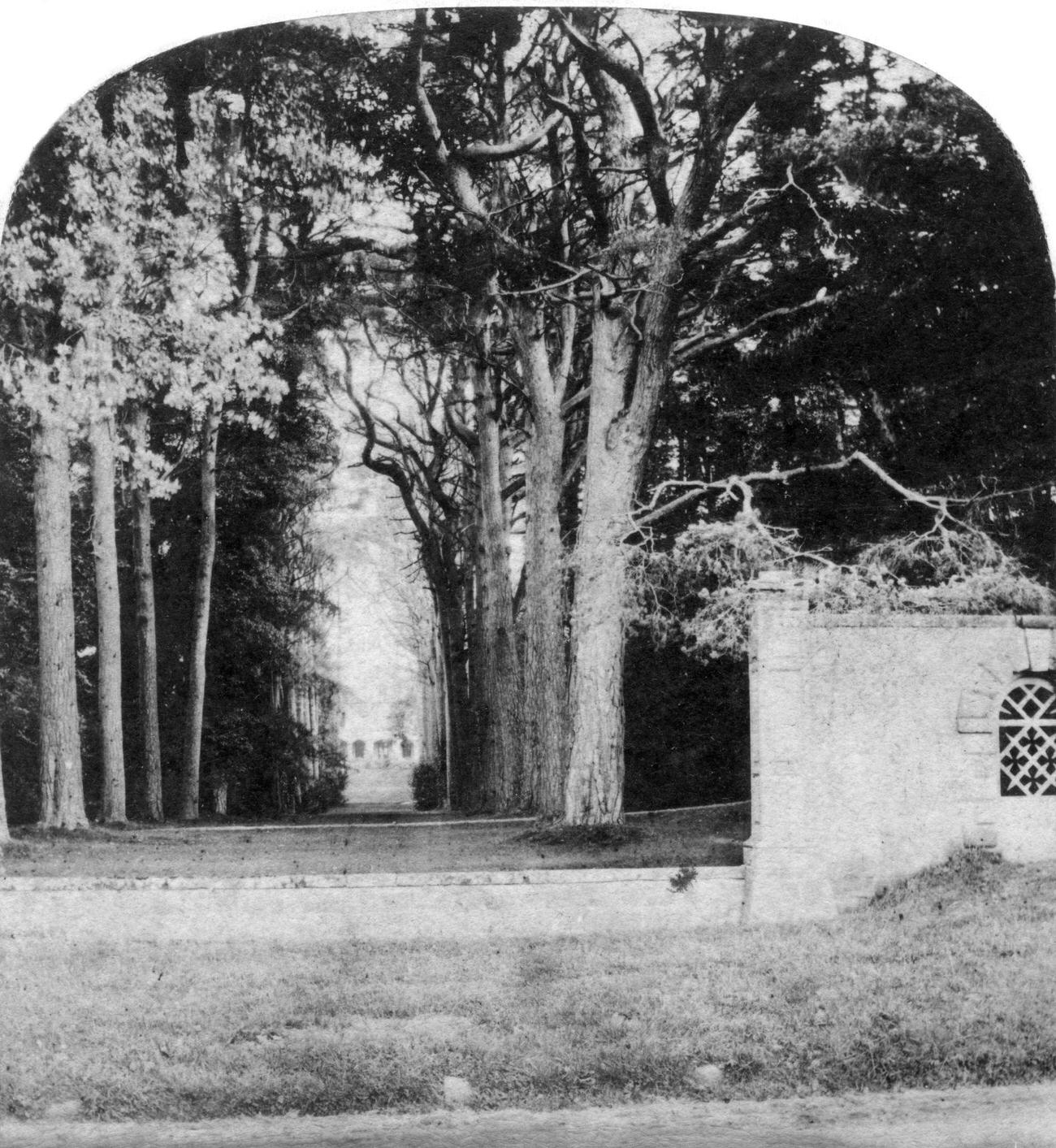 #117 The Avenue at Guy’s Cliff in Warwick, 1900s