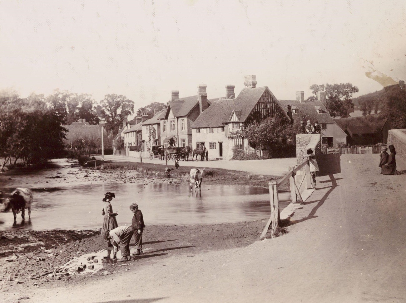 #16 English village scene with cows crossing a pond, 1890.