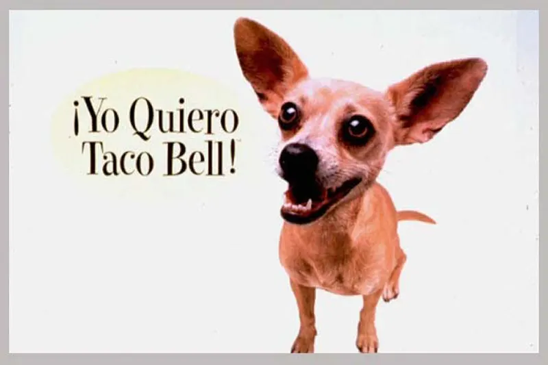 #3 Gidget the Chihuahua, Taco Bell mascot, 1999.