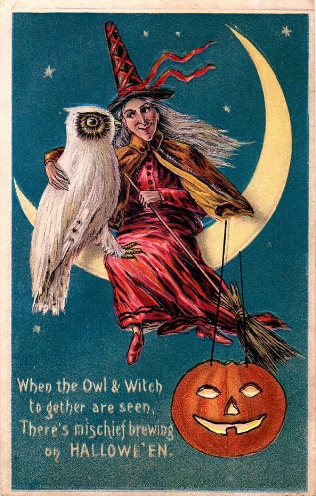 #38 When the Owl and Witch Together Are Seen