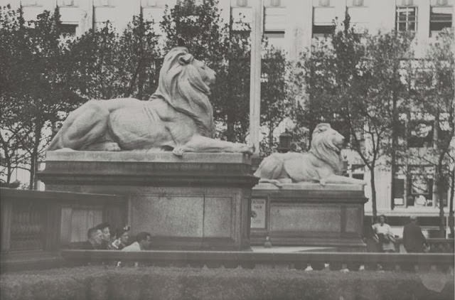 #11 Marble lions sculptures located on steps of the main branch of the New York Public Library on 5th Avenue, Manhattan, New York City, 1953