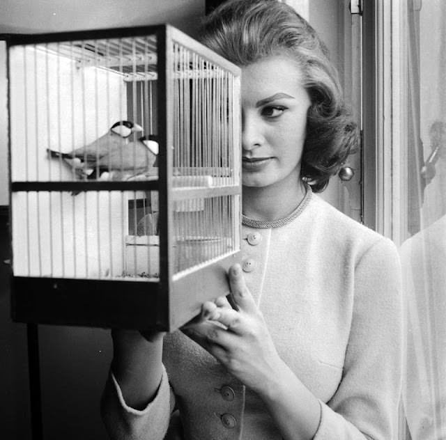#19 Sophia Loren with two songbirds gifted in Brussels, 1956.