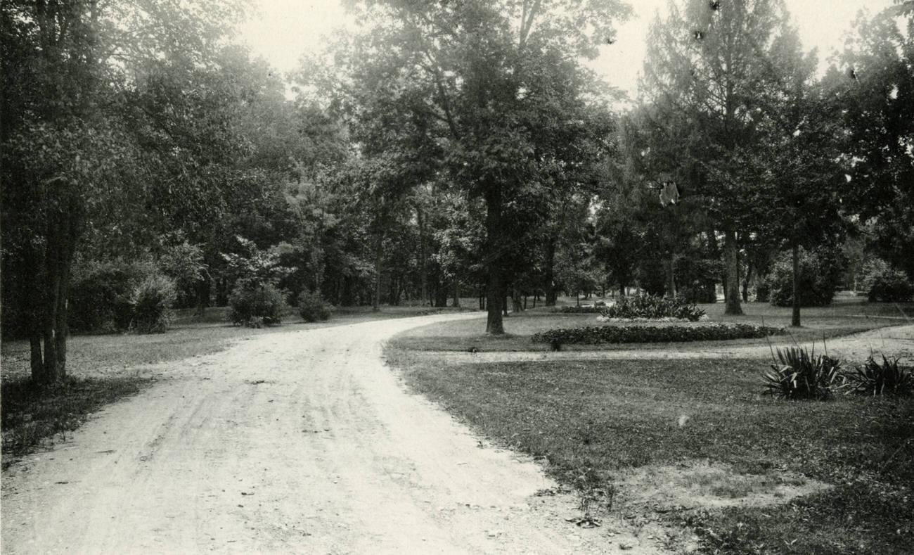 #37 Scenic drive on the Columbus State Hospital grounds, 1897.