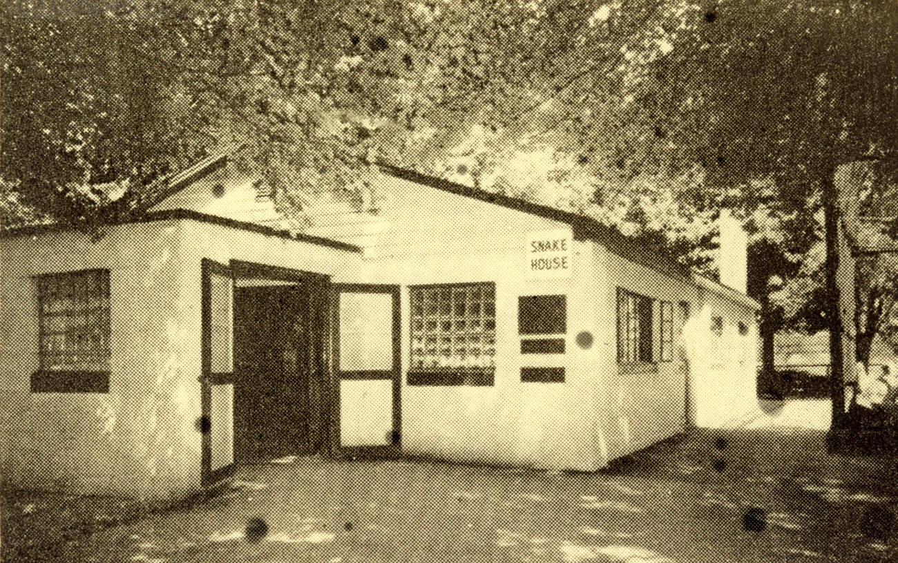 #34 Snake House at the Columbus Zoo, 1953.