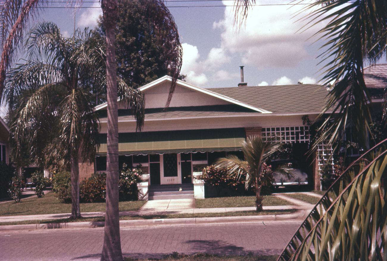 #7 Palm trees and a home in Tampa, Florida on W Southview Avenue, August 23, 1957.