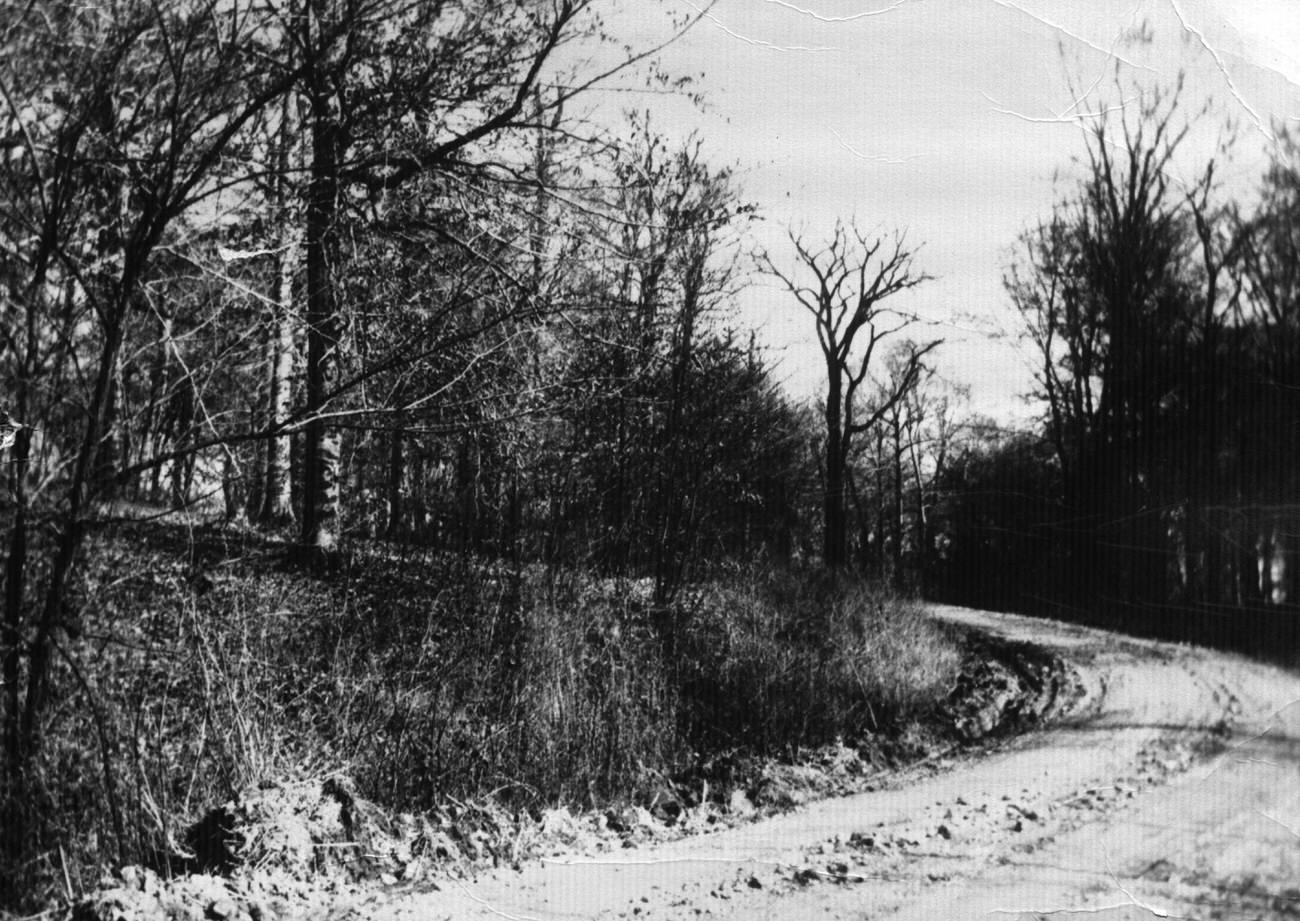 #25 View of Glenmont Avenue towards Indianola Avenue in Clintonville, Columbus, 1923.