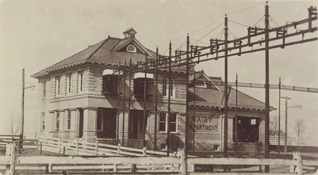 #86 Dairy Department building at Hartman Stock Farm, photograph, 1911.
