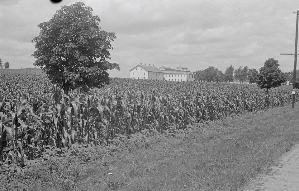 #36 Fields and farm building at Hartman Farms near Columbus, Ohio, Summer 1938.