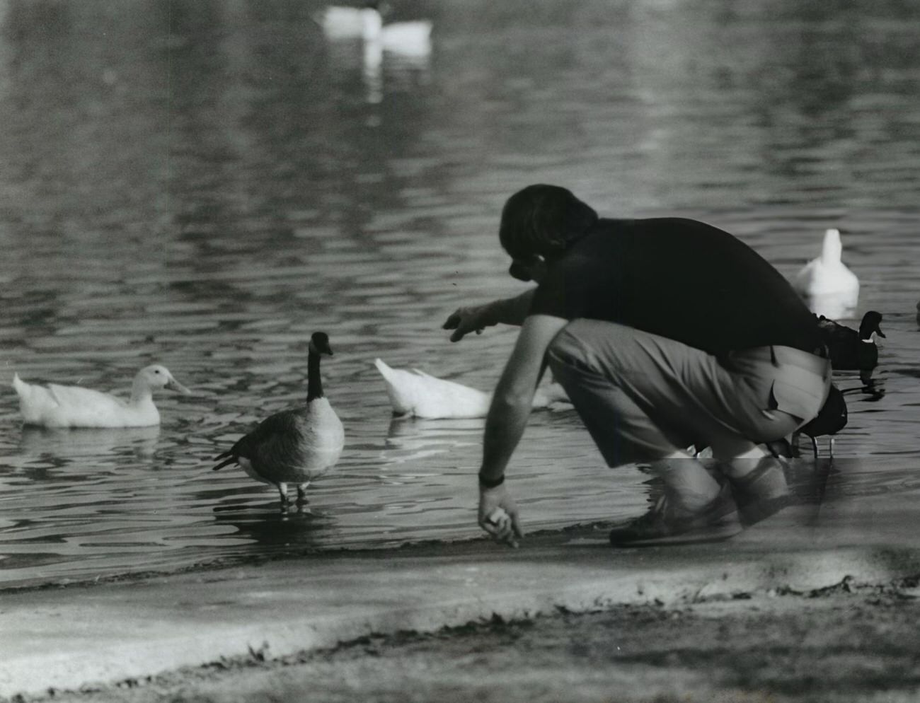 #25 Craig Bradley enjoys sunny weather at Hermann Park’s duck and goose pond, Houston, 1980s