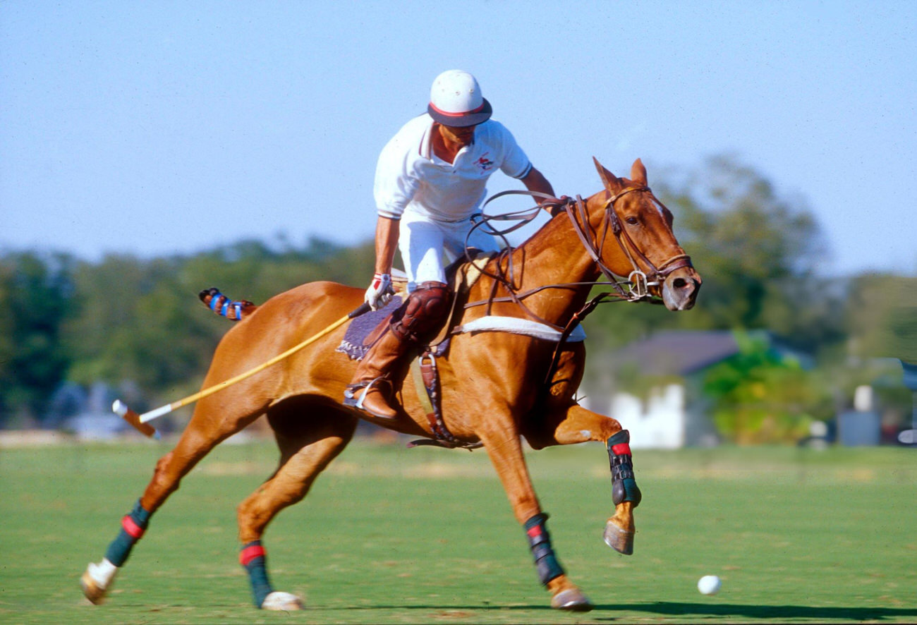 #52 A high-goal player at Ranch Polo in 1997 showcases the sporting and cultural dimensions of polo, reflecting the diverse interests within Houston, Texas.