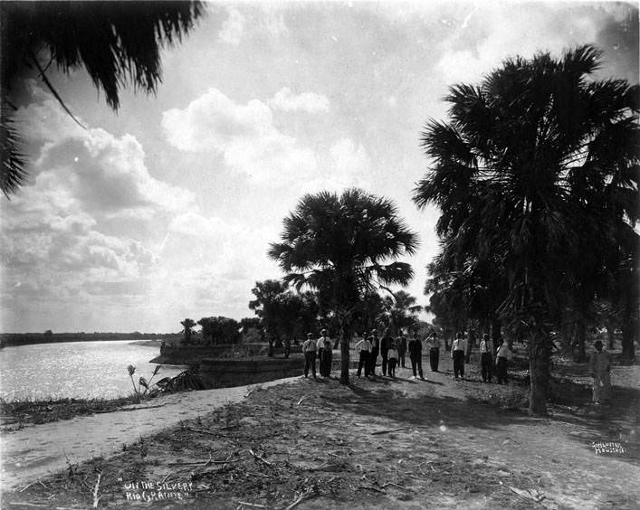 #110 People under palm trees on the Rio Grande River bank, 1920s