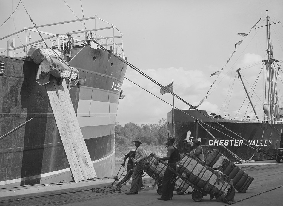 #61 Stevedores loading cotton onto a freighter at the Port of Houston, Texas, 1939