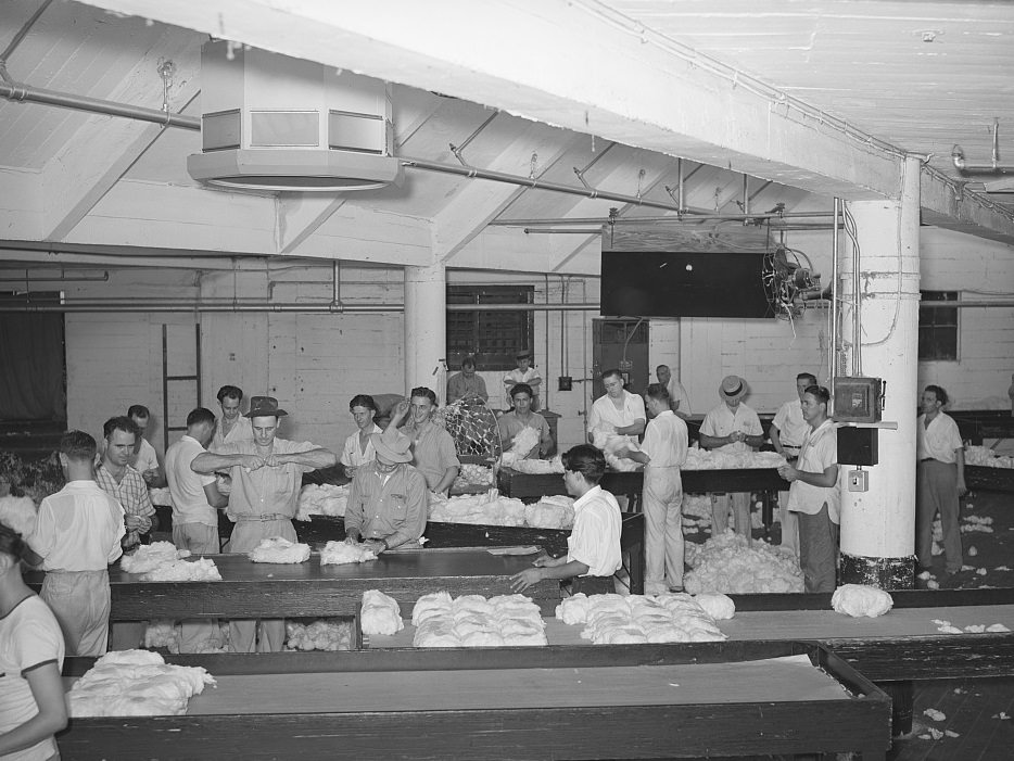 #65 Sampling room at a cotton compress in the Port of Houston, Texas, 1939