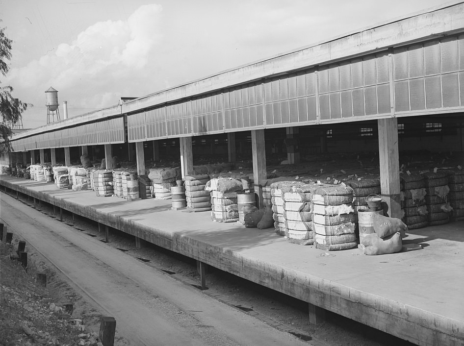 #66 Loading dock of a compress in Houston, Texas, 1939