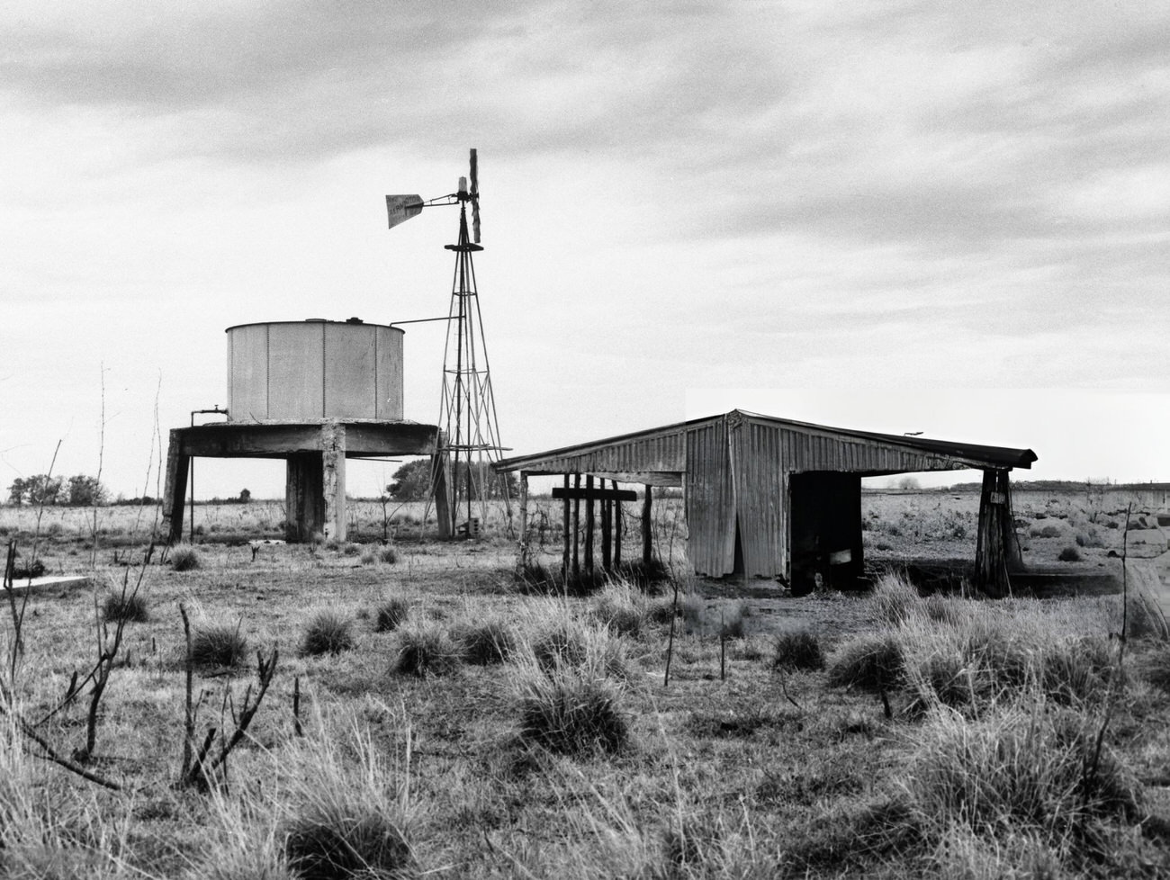 #29 The future site of the Johnson Space Center in Houston, Texas, featuring a cow pasture, 1960.