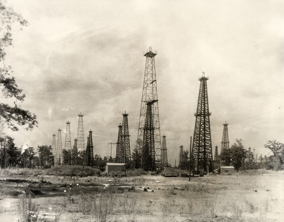 #17 Oil derricks among trees and shrubs, near Houston, 1910s.