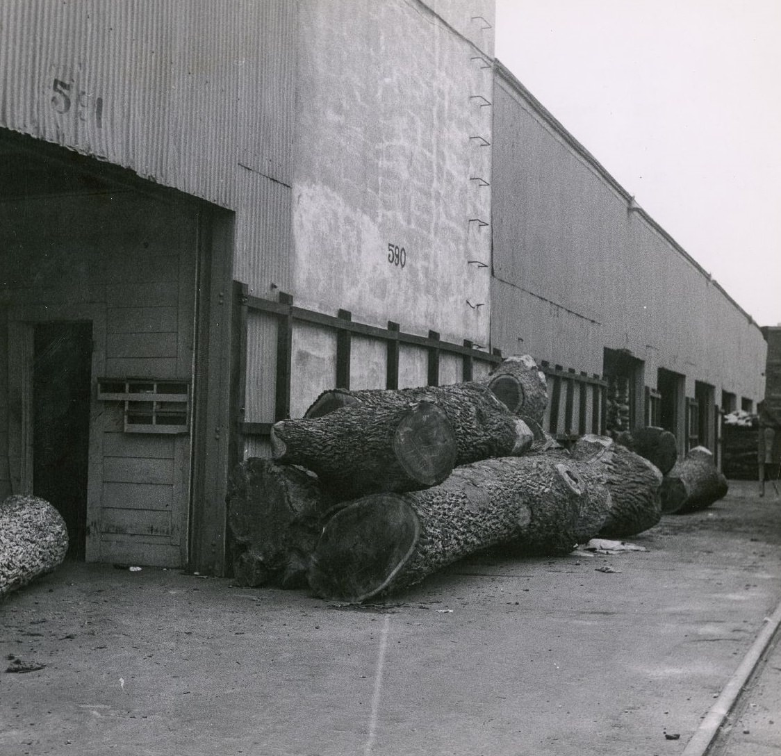 #53 Lumber pile outside warehouse, Houston Ship Channel, 1951