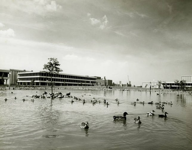 #3 NASA Space Center pond and buildings, Houston, 1965.