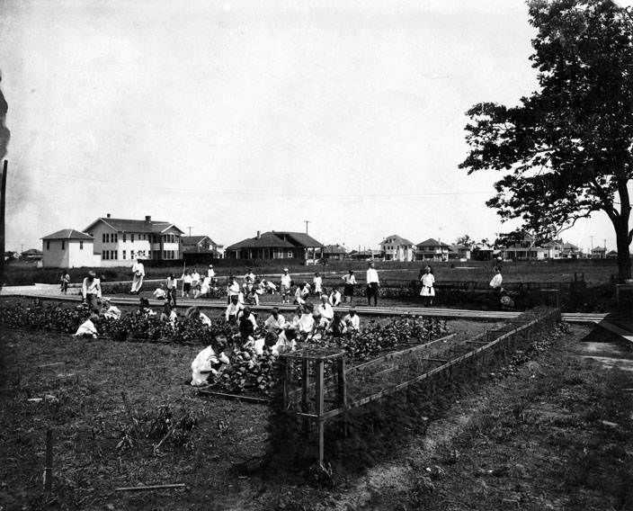 #28 Children working in vegetable garden, 1910s