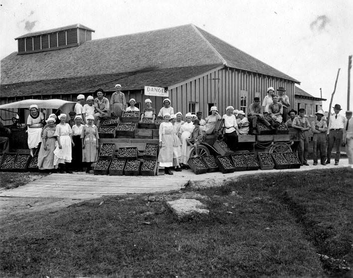 #52 People with crates of figs, Houston, 1920s