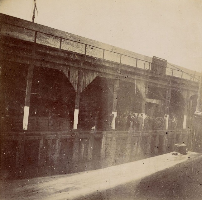 #99 Pacific Mail Dock, June 6, 1895