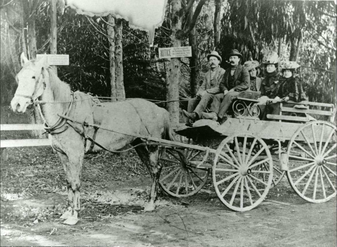 #101 Judy’s paternal grandfather Buenaventura, his brother, Aurelia Rose, Aunt Rose, and an unknown woman in a horse-drawn carriage, 1890s