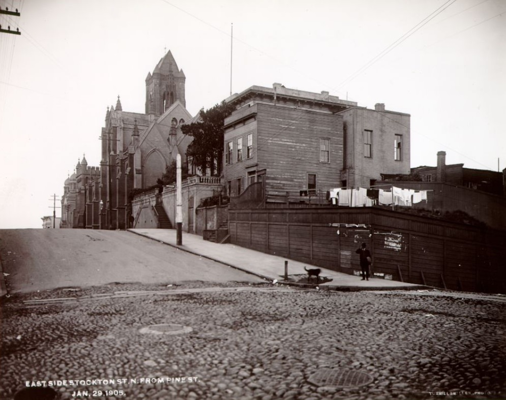 #21 East side of Stockton, north from Pine Street, January 29, 1905