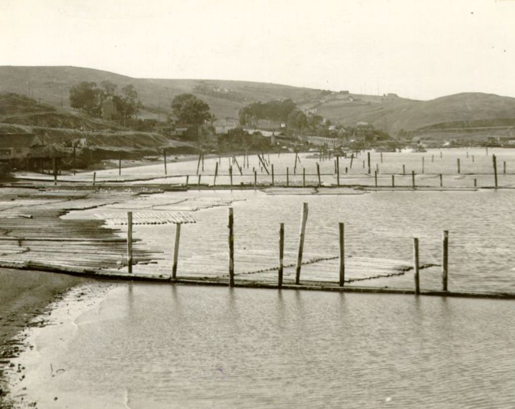 #3 North cove of Hunters Point, 1929