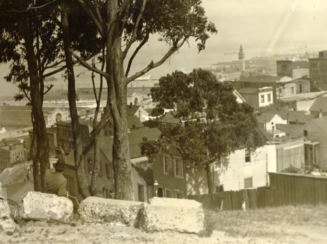 #54 View from Telegraph Hill, 1920