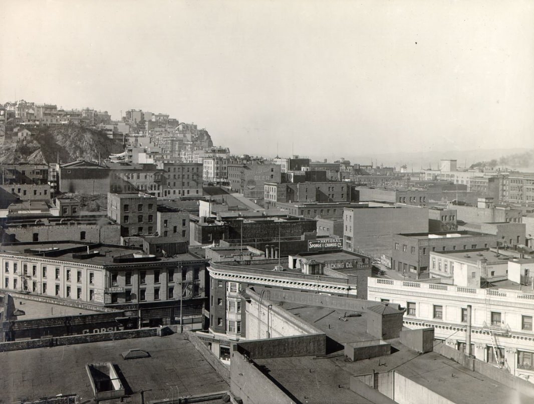 #153 View of San Francisco northeast from the Hall of Justice, 1921