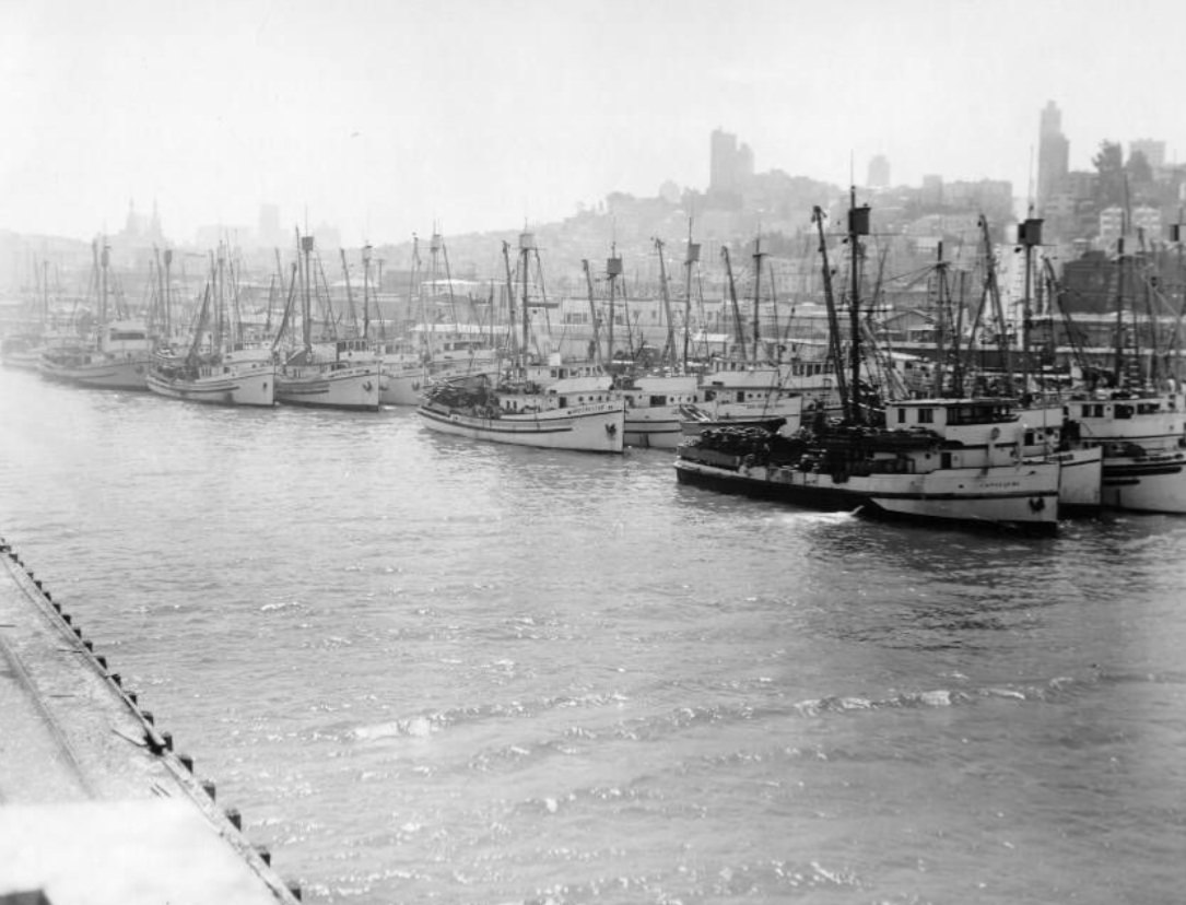 #171 Harbor and Bay at Fisherman’s Wharf, 1949