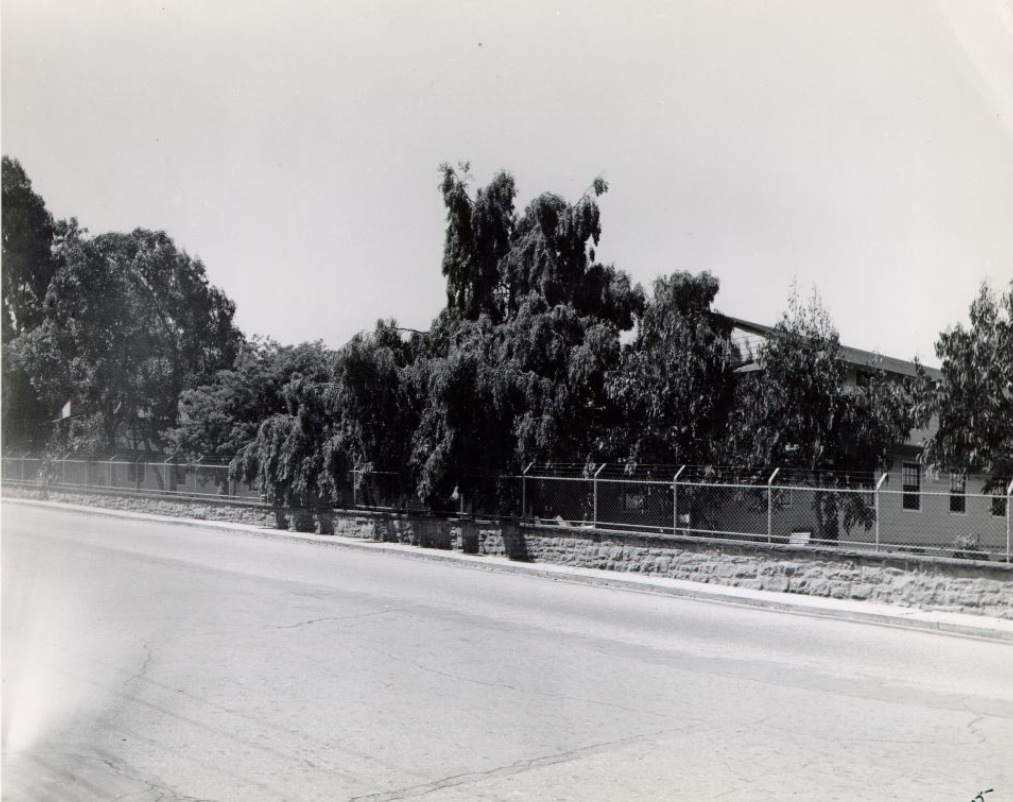 #28 Presidio, 1946