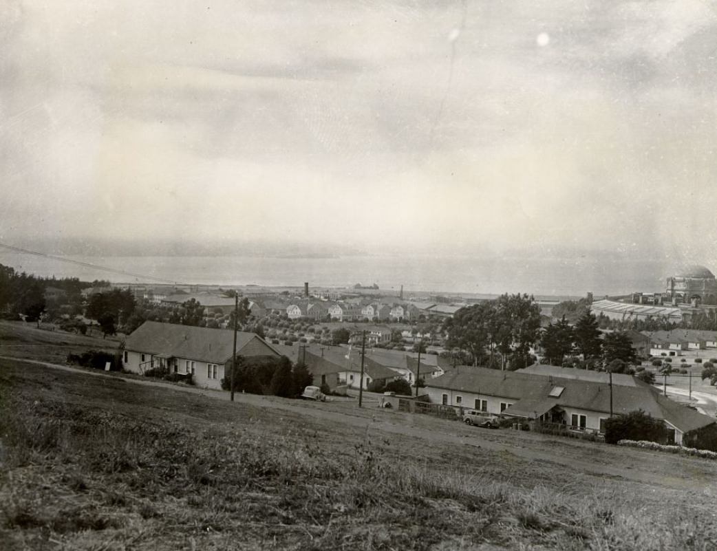 #69 Presidio overlooking the Palace of Fine Arts, 1946
