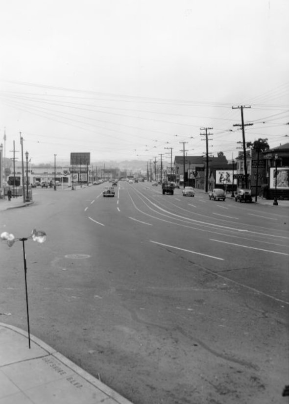 #74 Bayshore Boulevard, 1946