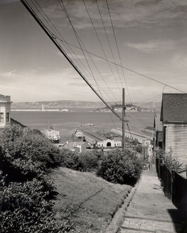 #96 View of Treasure Island and Yerba Buena Island from Telegraph Hill, 1940s