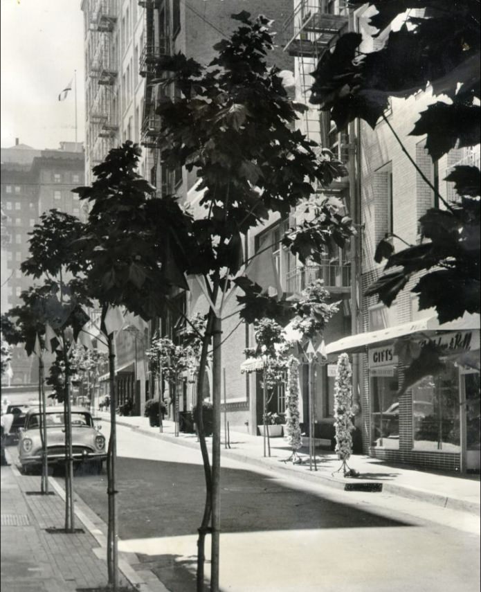 #171 Maiden Lane, 1959.