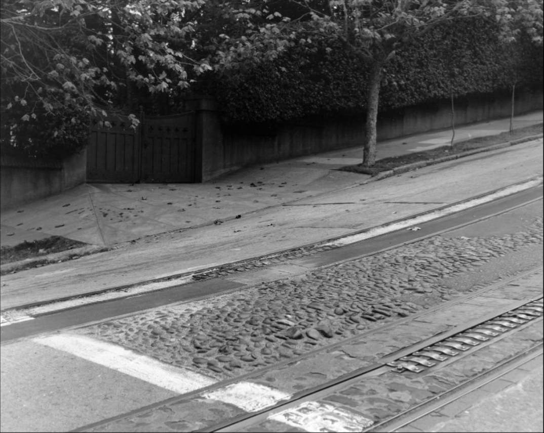 #203 View on Hyde Street south side of Chestnut, 1955.