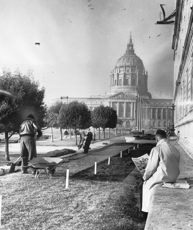 #162 View of City Hall from the Main Library with workers laying lawn, 1962.