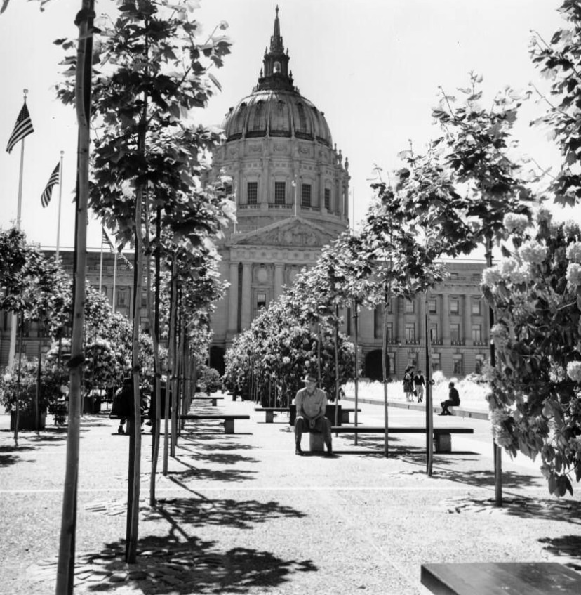 #1 Row of trees in Civic Center Plaza across from City Hall, 1962.