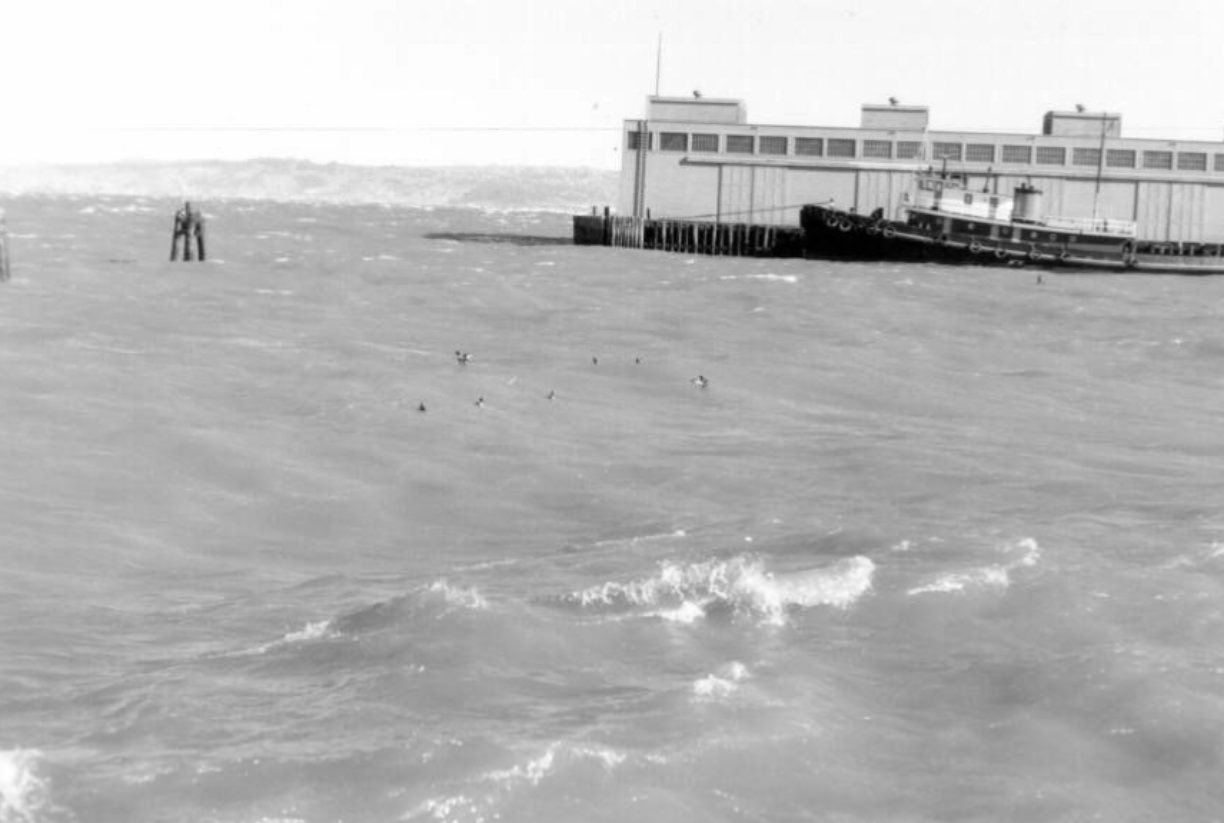 #75 Fisherman’s Wharf, 1960s.