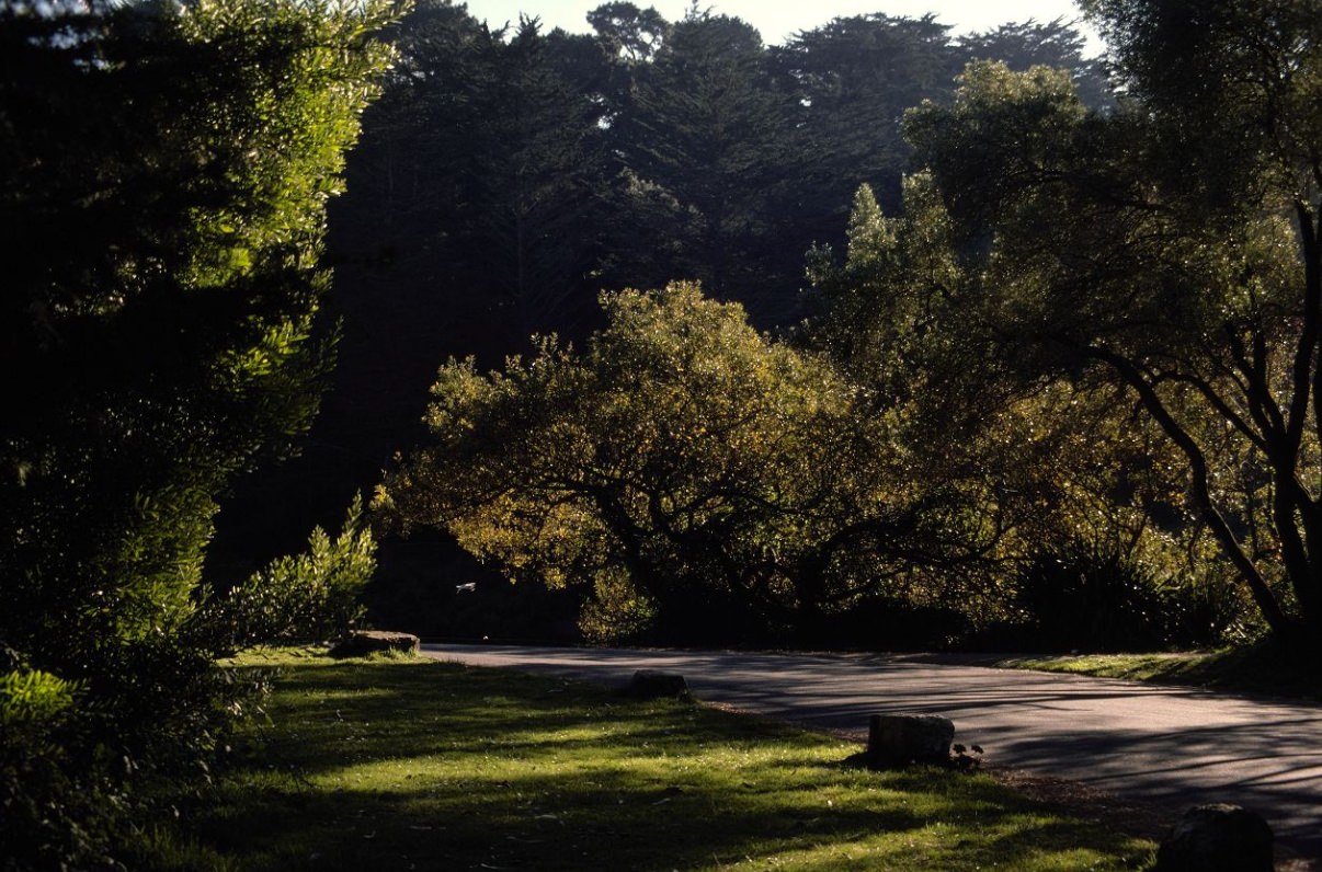 #94 Park trail, 1975.