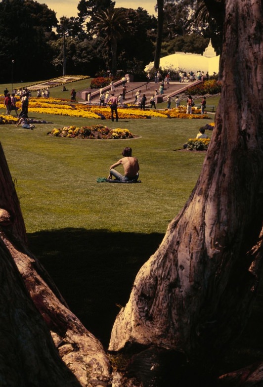 #110 People visiting Golden Gate Park and the Conservatory of Flowers, circa 1978.
