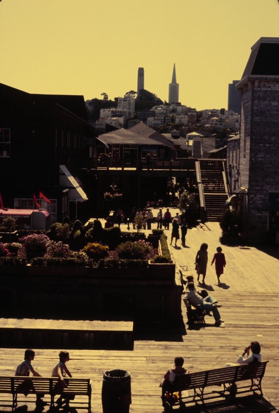 #99 View of Pier 39, 1984.