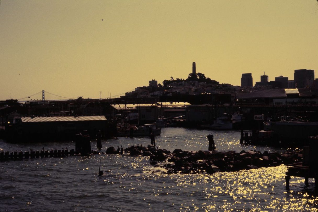 #88 Dock at Fisherman’s Wharf, 1984.