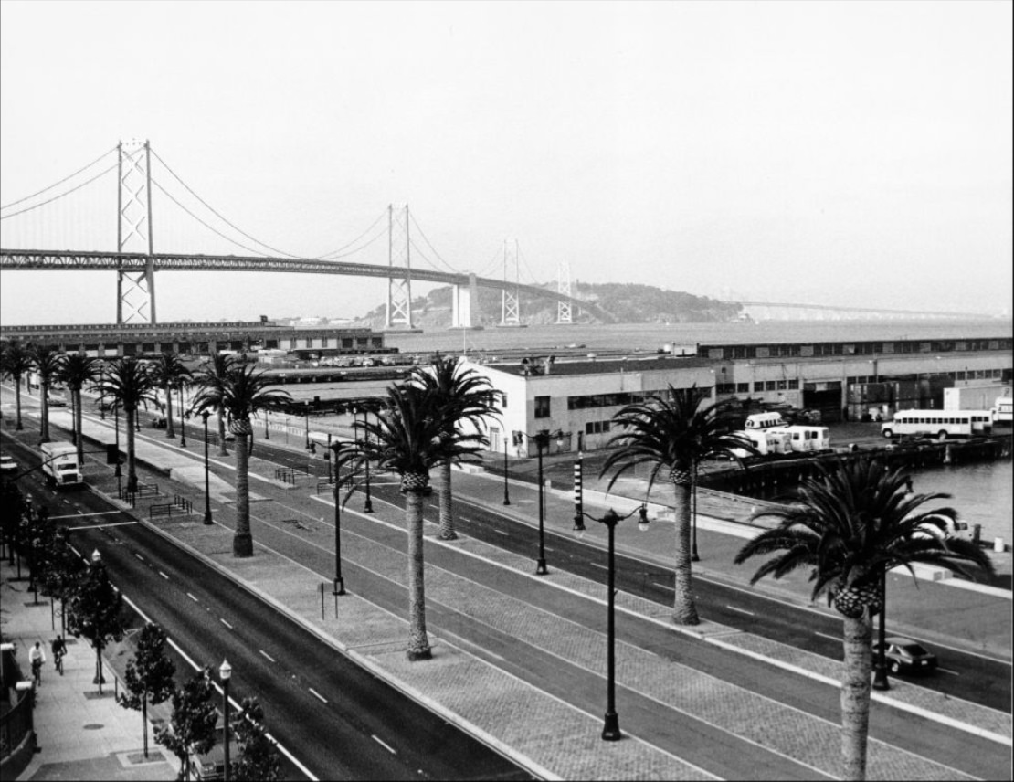 #56 View of palm trees along the Embarcadero Roadway with the Bay Bridge in the background, 1994.