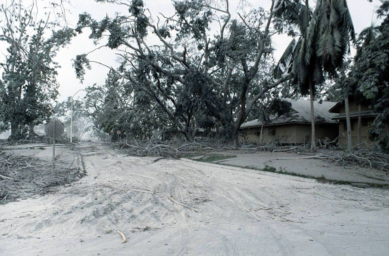 Downed trees and ash-covered ground in a senior officer’s housing area at Clark Air Base, Luzon, Philippines, after Mount Pinatubo’s eruption.